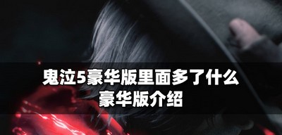 鬼泣5豪华版里面有什么 豪华版介绍