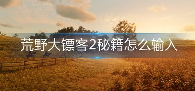 荒野大镖客2秘籍如何在游戏里面输入 秘籍输入方法介绍