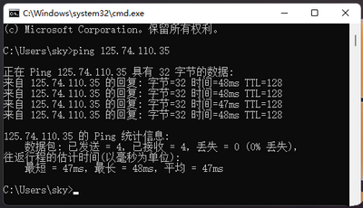 Win11网络地址ping测试