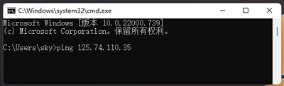 Win11网络地址ping测试