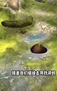 哪里可以找到夺笋高手极光金珠 无价之宝获得方式介绍