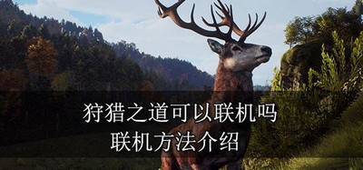 狩猎之道游戏能不能联机玩 游戏联机方法介绍