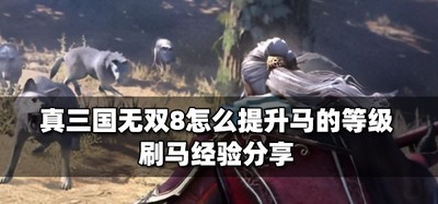 真三国无双8升马的等级怎么提 刷马经验攻略