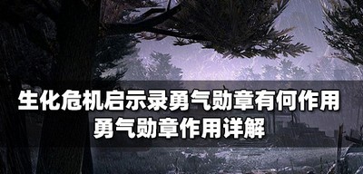 生化危机启示录勇气勋章是做什么用的 勋章作用详解