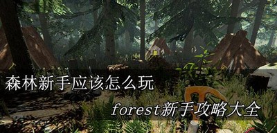 森林新手要怎么玩 forest新手攻略大全