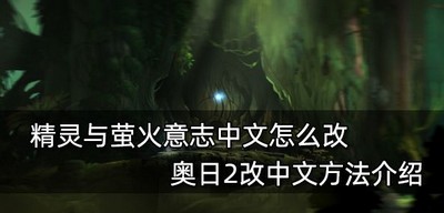 怎么改精灵与萤火意志中文 中文修改方法