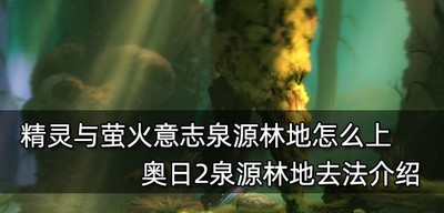 怎么上精灵与萤火意志泉源林地 泉源林地去法介绍