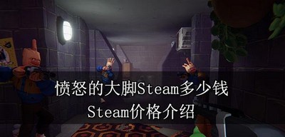 愤怒的大脚在Steam平台售卖多少钱 Steam价格介绍