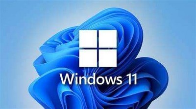 Win11 25179测试版又出bug: C盘没24GB剩余容量续报错