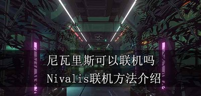 尼瓦里斯能联机一起玩吗 Nivalis联机方法介绍