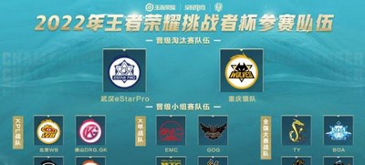 王者荣耀挑战者杯赛制是怎么玩的 2022挑战者杯赛制介绍