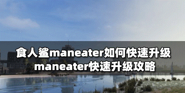 如何快速升级食人鲨maneater maneater快速升级方法