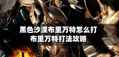 黑色沙漠怎么打布里万特 布里万特打法攻略