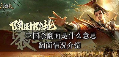 三国杀翻面代表什么意思 翻面情况说明