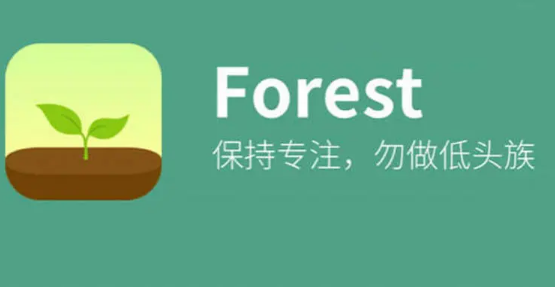 forest专注森林如何删除标签 删除标签步骤介绍