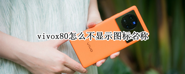 vivox80图标在哪调节大小 图标调节大小位置介绍