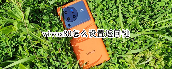 vivox80导航布局如何设置 导航布局设置方法介绍