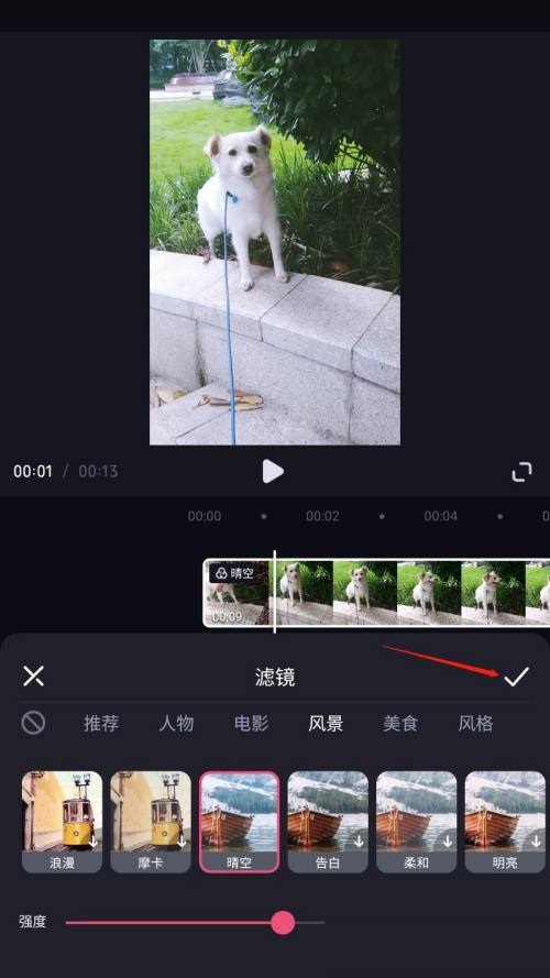 必剪滤镜怎么添加