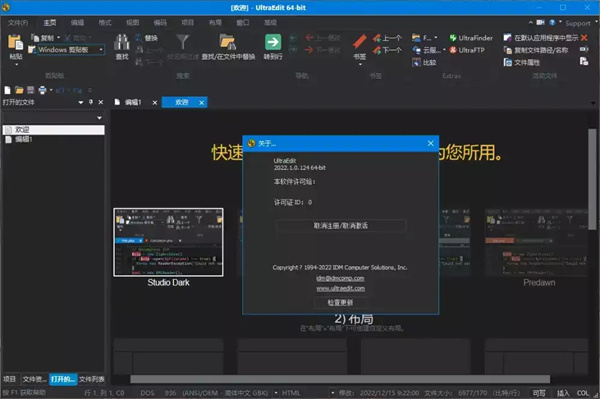 UltraEdit30破解版 第2张图片