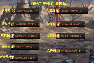 DNF全职业白金徽章选择大全 不同职业的白金徽章选择攻略[多图]图片4