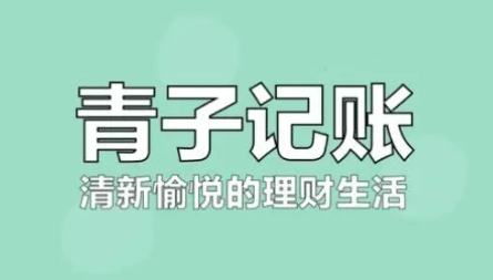 《青子记账》怎么看预算用了多少