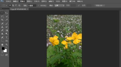 photoshop cs6怎么翻转照片素材？photoshop cs6翻转照片素材的方法截图