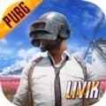 pubg国际服游戏 