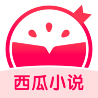 西瓜小说app 