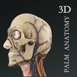 掌上3d解剖 