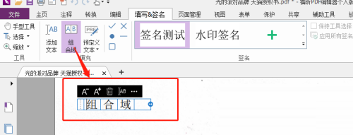 福昕PDF编辑器怎么设置组合域？福昕PDF编辑器设置组合域教程截图