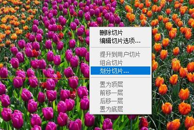 ps怎么切图?ps切图教程截图