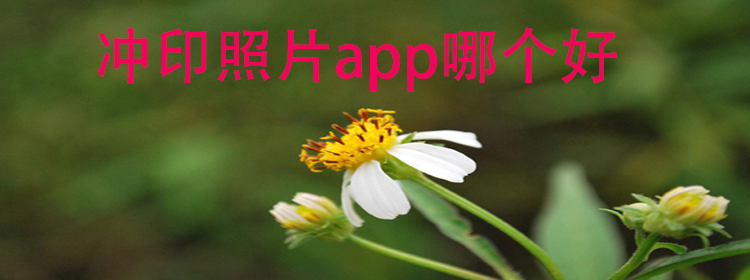 冲印照片app推荐_冲印照片app可大全_冲印照片app排行榜