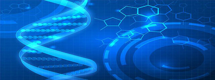 手机医学软件推荐_手机医学软件合集_手机医学软件排行榜