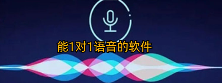 能1对1语音的软件下载_能1对1语音聊天的软件