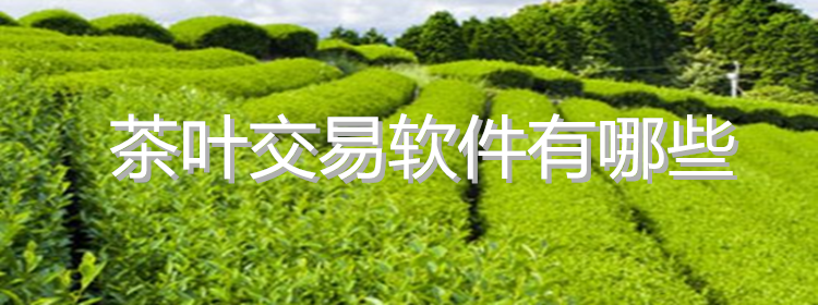 茶叶交易软件推荐_茶叶交易软件大全