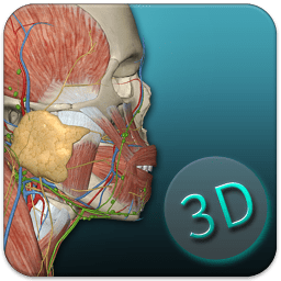 人体解剖学图集3D手机版 