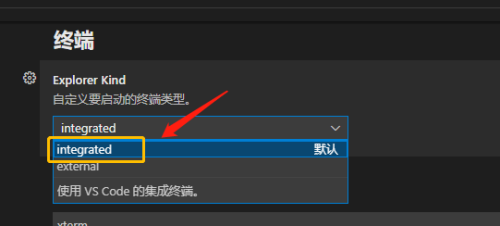 Vscode怎么自定义终端类型？Vscode自定义终端类型方法截图