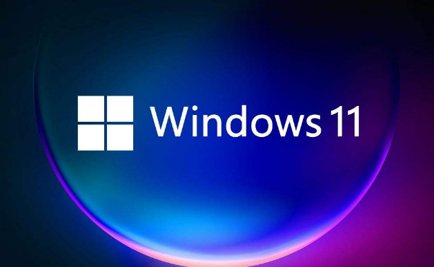 Windows11无法连接网络怎么办