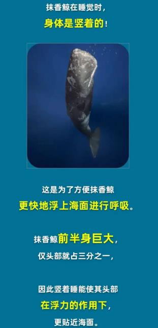 淘宝每日一猜4.11答案最新 淘宝大赢家4月11日今日答案分享[多图]图片2