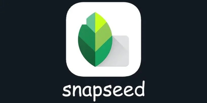 snapseed手机app安装_snapseed官方最新版本2023/手机修图软件免费版/中文版_snapseed下载大全