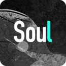 Soul 