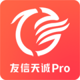 友信天诚pro 