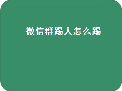 微信群踢人怎么踢（微信群踢人怎么踢出去）