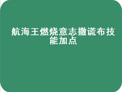 海贼王燃烧意志撒谎布加点（海贼王燃烧意志撒谎布加点攻略）