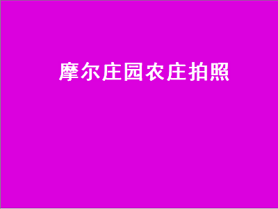 摩尔庄园农庄拍照（摩尔庄园农庄拍照在哪里）