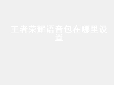 王者荣耀语音包在哪里设置（王者荣耀语音包在哪里设置李小龙）