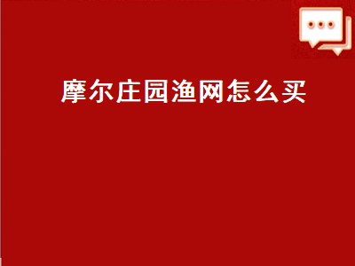 摩尔庄园渔网怎么买（摩尔庄园渔网怎么买第二次）