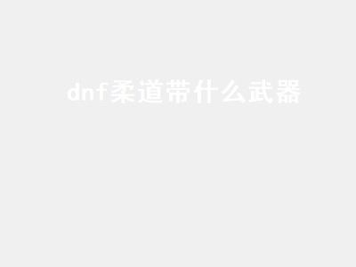 dnf柔道带什么武器（dnf柔道带什么武器好）