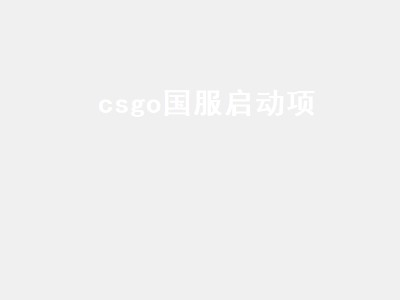 csgo国服启动项（csgo国服启动项代码）