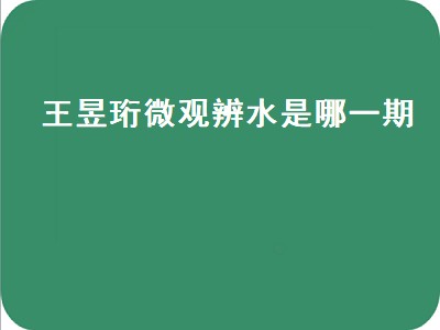 王昱珩微观辨水是哪一期（最强大脑王昱珩微观辨水是哪一期）